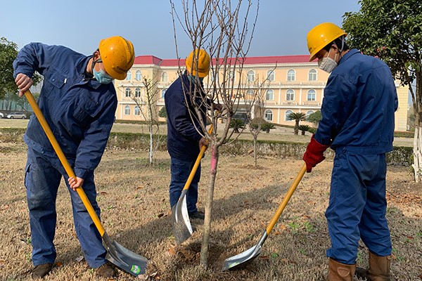 1583917156759082.jpg 修改照片1.jpg