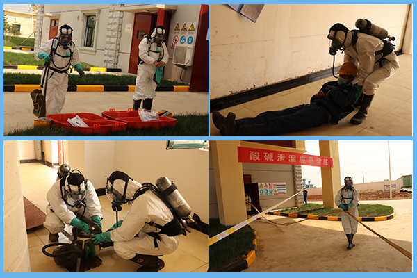 1590136716988895.jpg 四合一.jpg