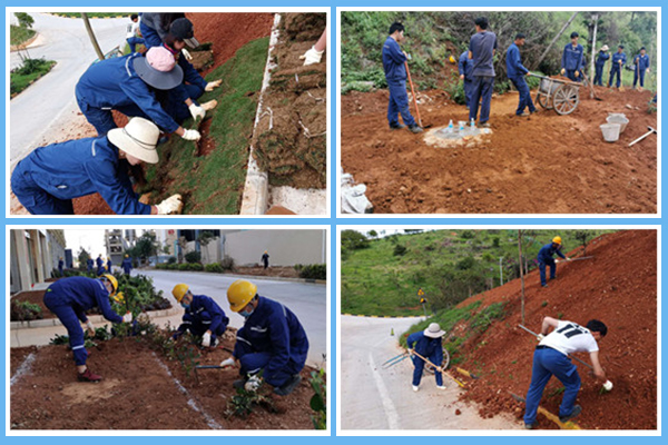 1604296497484427.jpg 2.jpg