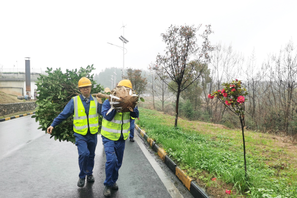 1615604345991533.jpg 處理圖3.jpg