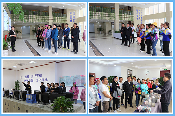 1615609633419248.jpg P圖-四框.jpg