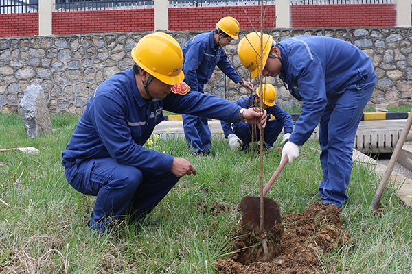 1616392321949039.jpg IMG_7744.JPG