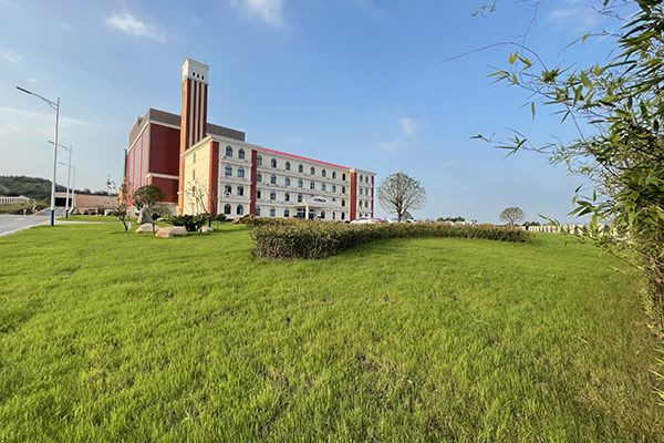 1629625242175218.jpg 3.jpg