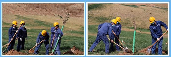 1647344579675948.jpg 222.jpg