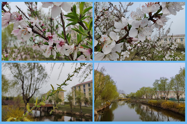 1648449099267364.png 圖片1.png