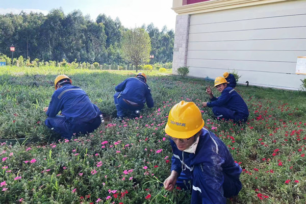 1661306911749111.jpg 00ae4704e8b7e05c5b7bb286cdeaf43.jpg