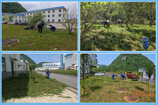 1748248764148217.jpg 活動現場-四合一.jpg