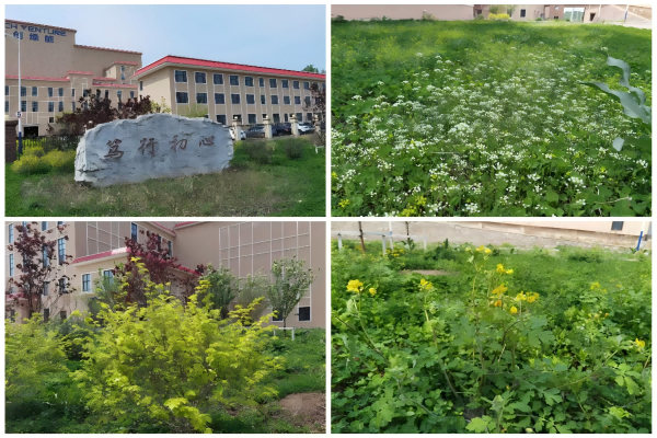 1748306475310372.png 2.png